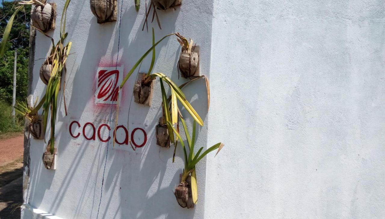 Hotel Cacao Katunayaka Zewnętrze zdjęcie
